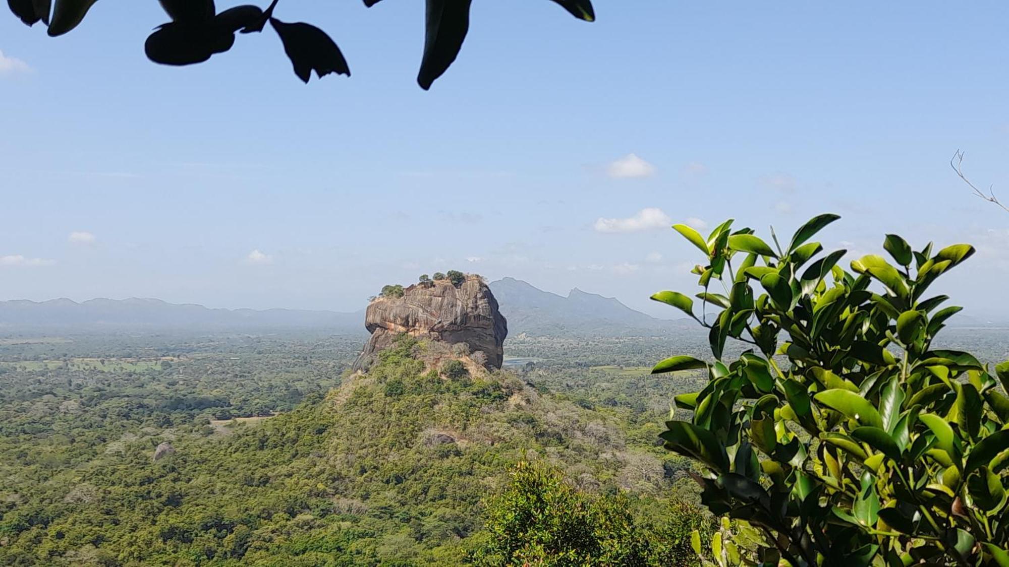Wild View Stay Habarana Luaran gambar